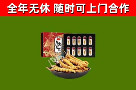 哈尔滨回收冬虫夏草价格
